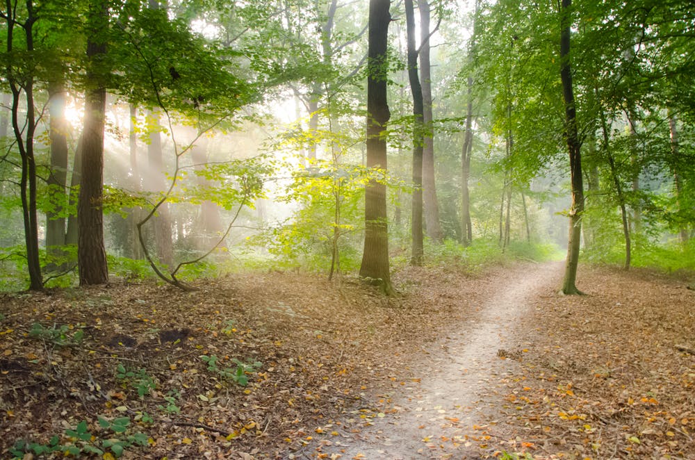 BikeTrails