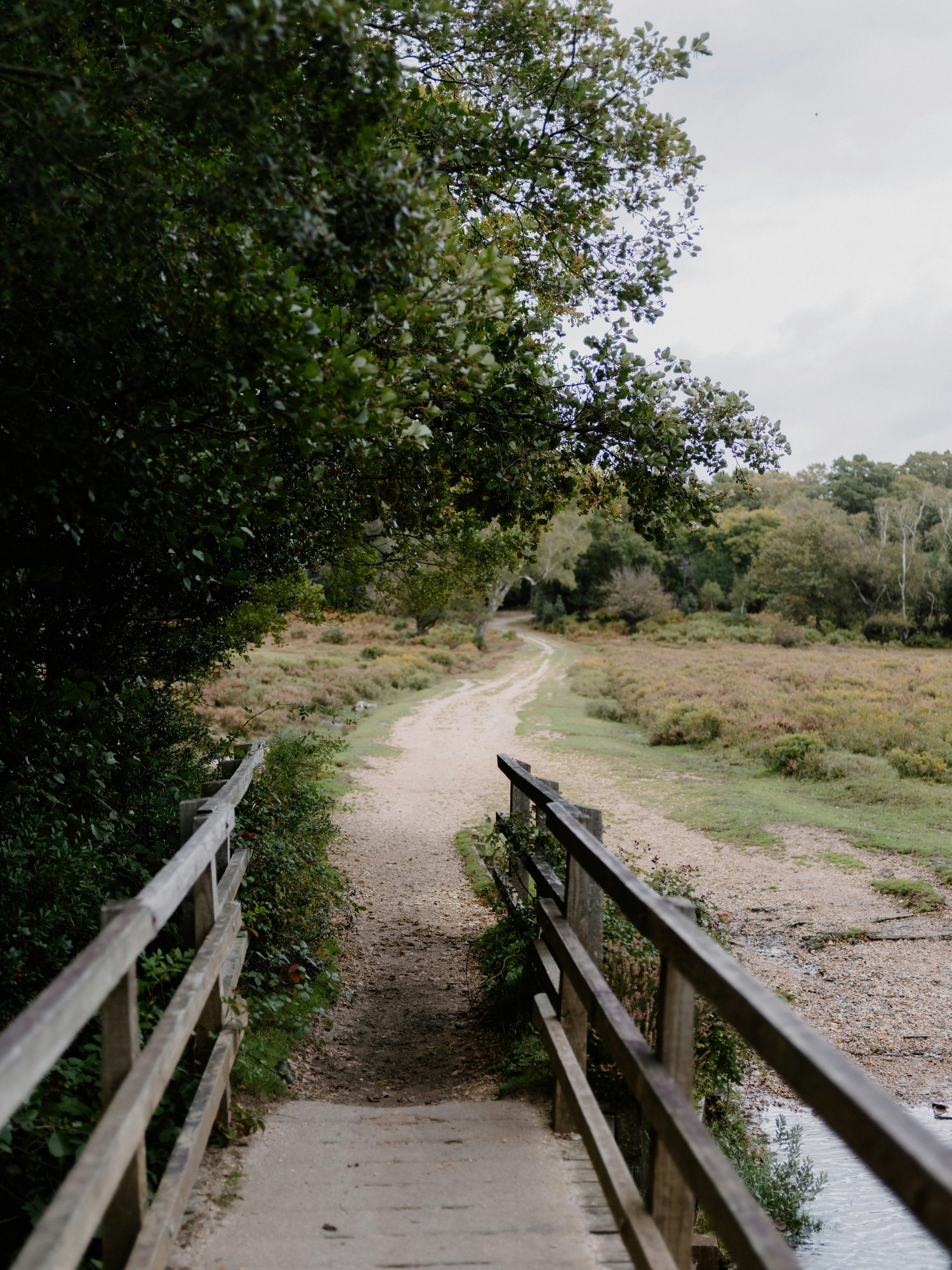 annie-spratt-U2_lQOJx6eI-unsplash